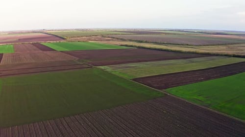 Volando sobre un campo verde vacío