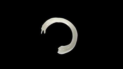 Abstract White Liquid Forming Circular Swirl Animation