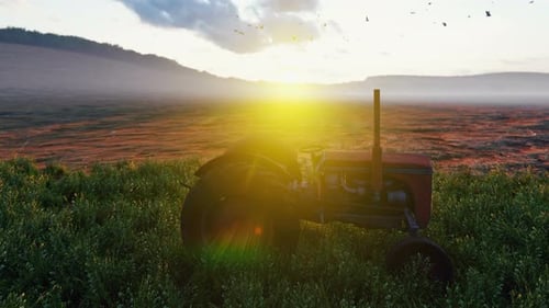 Vintage Tractor in Lush Green Field During Golden Hour