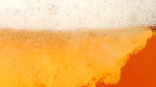 Refreshing Beer Poured in Close Up Shot