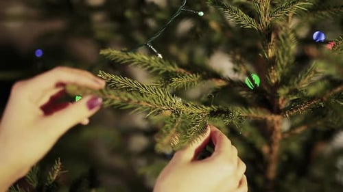 Woman Decorating Christmas Tree With Festive Ornament