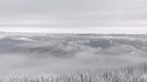 Aerial Flying Above Winter Mountain Forest Covered in Fog