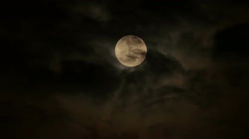 Moon