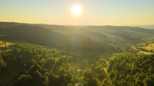 Vibrant Foggy Evening Over Dark Forest Trees at Bright Summer Sunset