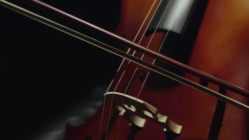 Cello Player Drawing Bow Across Instrument Strings