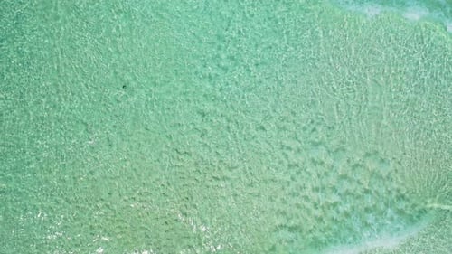 Hermosa copia de un Zumbido, captura espacial de una playa paradisíaca de arena blanca y un fondo de agua azul