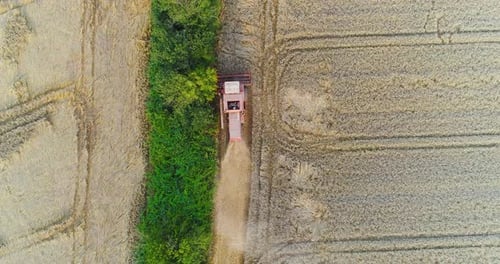 Combine Harvester Working in Agricultural Field