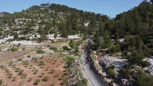 Goat Herder Road
