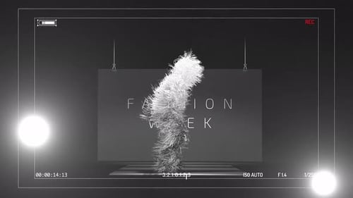 Fashion Week Runway Catwalk Loop