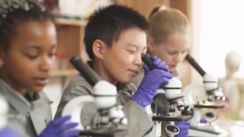 Lesson in a Modern School, Kids Look at Microscopes in a Chemistry Lesson, the Process of Teaching