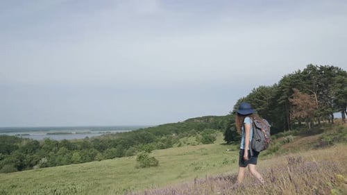 Woman Hiking in Green Grassy Hillside