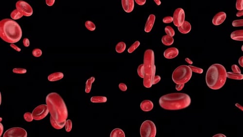 Blood cells circulation loop