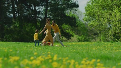 Playful Family Picnic in Sunny Meadow