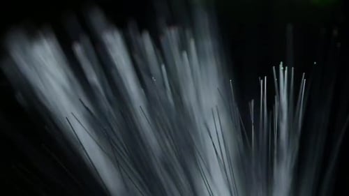 Fiber Optic Strands Glowing Against Black Background