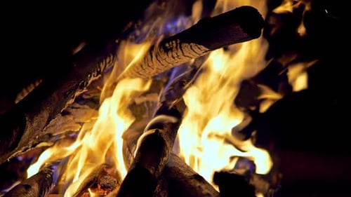 Campfire Flames Burning Logs at Night