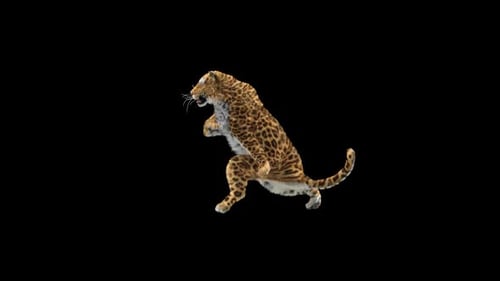 Leopard-Tanz HD