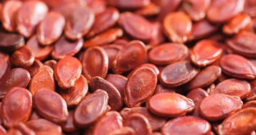 Red melon seed