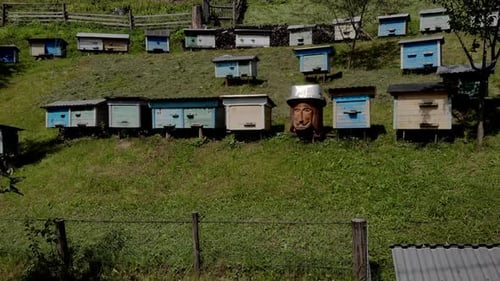 Wooden Beehives in the Garden on a Sunny Day