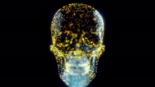 Kreatives Hud-Hologramm zum Scannen des menschlichen Schädels 4k