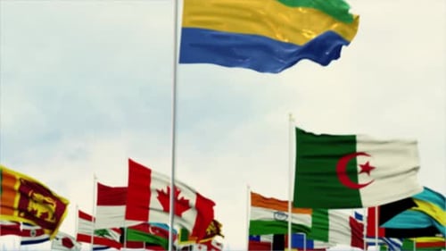 Dynamic Waving Flags Reveal for International Concepts