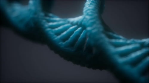 Rotating 3D DNA Double Helix Structure Animation