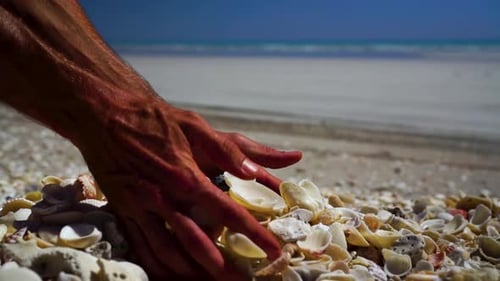 Langsamer Mo männlicher Hände, die einen Haufen Muscheln aufheben und fallen lassen, Nahaufnahme