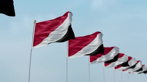 Red White Black Flags Waving in Wind Against Blue Sky