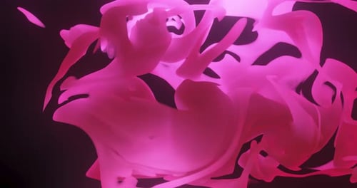 Dynamic Pink Fluid Shapes Abstract Motion Background