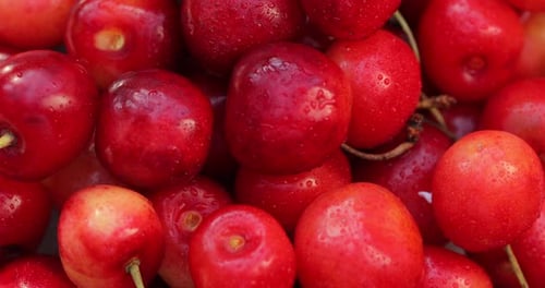 Closeup Shot of Cherry Fruit