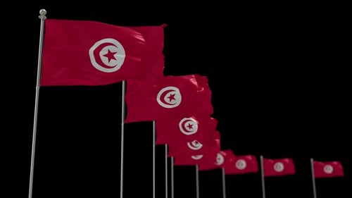 Multiple Waving Flags of Tunisia Animation Loop