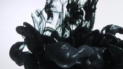 Schwarze Farbe fällt ins Wasser vor weißem Hintergrund.