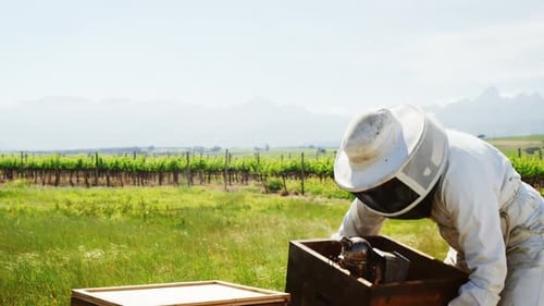 Male beekeeper carrying honeycomb box