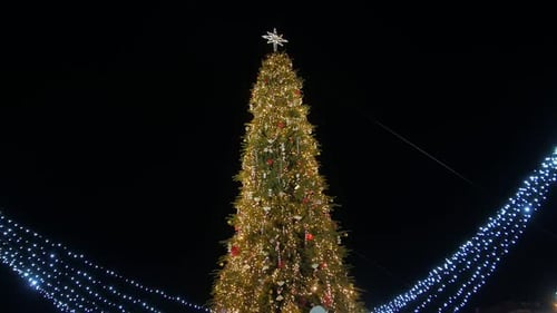 Christmas Tree On City Square