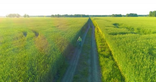 Aerial View on Young Boy, That Rides a Bicycle Thru a Wheat Grass Field on the Old Rural Road