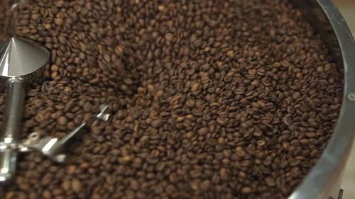 Roasted Coffee Beans in Roasting Drum