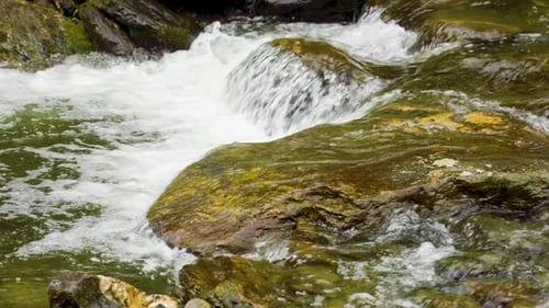 Recortada de un arroyo de río en el valle de la montaña