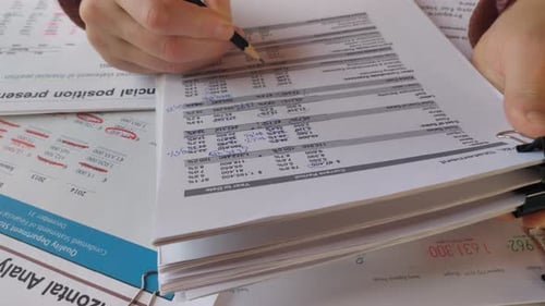 Reviewing Financial Statements with Black Pen