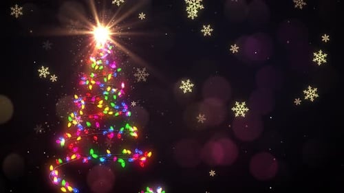 Christmas Tree Lights