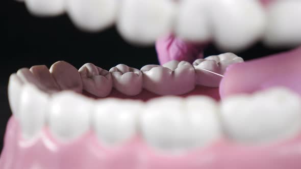 Teeth Cleaning Thread, Medical Stock Footage ft. care & floss - Envato