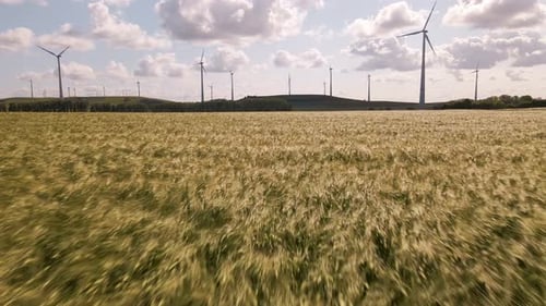 Low flight over an orange grain field towards a wind park in Germany. Wide angle aerial footage
