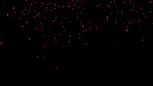 Red Rose Petals Falling with Alpha