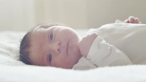 Close-up portrait of a young baby who has recently been born.