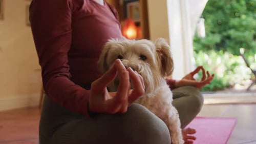 Woman Meditating at Home with Dog on Lap