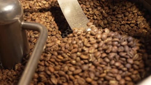 Coffee Beans Stirred During Roasting Process
