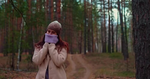 Pretty Girl Walks Through a Coniferous Forest and Wraps Herself in a Scarf Walking in Cool Autumn