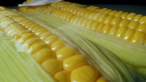 Close Up of Fresh Corn on the Cob
