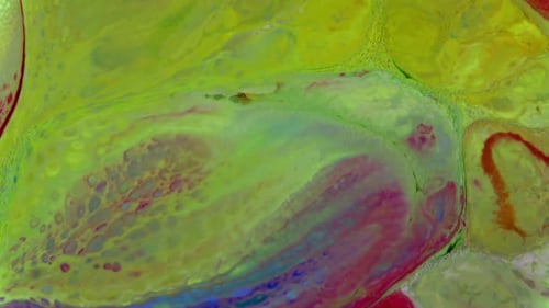 Abstract Animation of Colorful Morphing Fluid Shapes