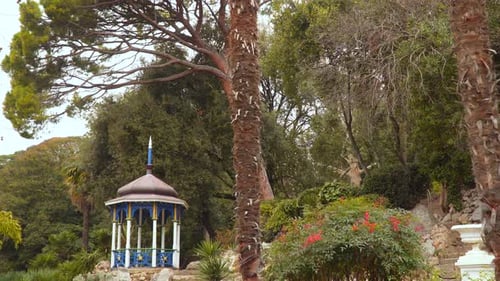 Wooden a Gazebo On the Slopes In the Park Among the Trees