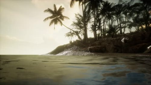 Soft Twilight of the Amazing Tropical Marine Beach