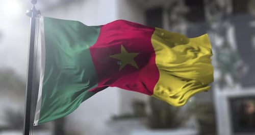 Realistic Cameroon Flag Waving Animation